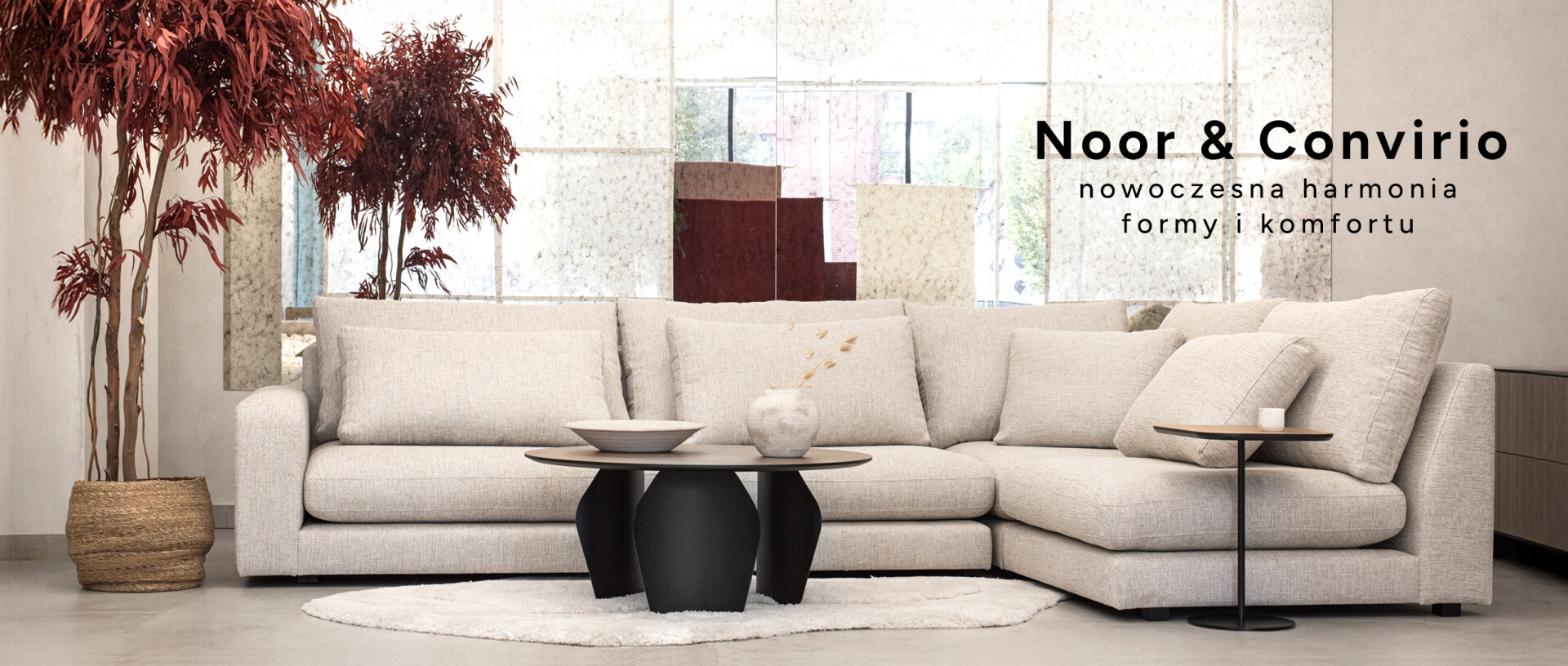 TOP na stronie głównej